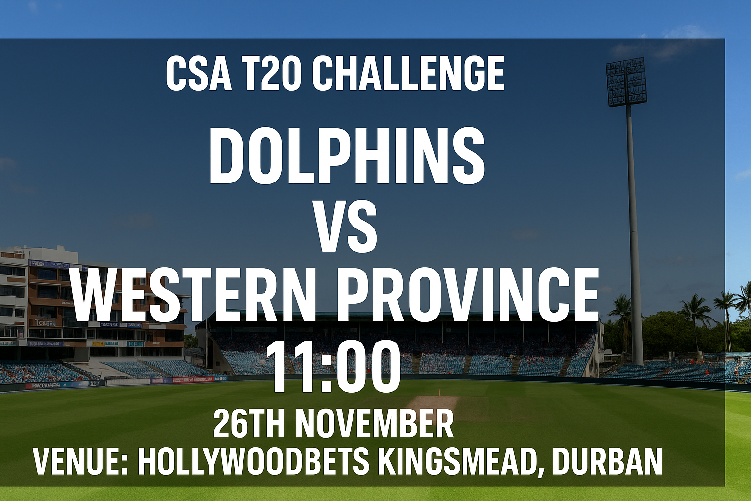 Read more about the article Dolphins v Western Province – 26 November – Preview & Prediction
